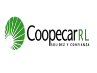 coopecar-rl